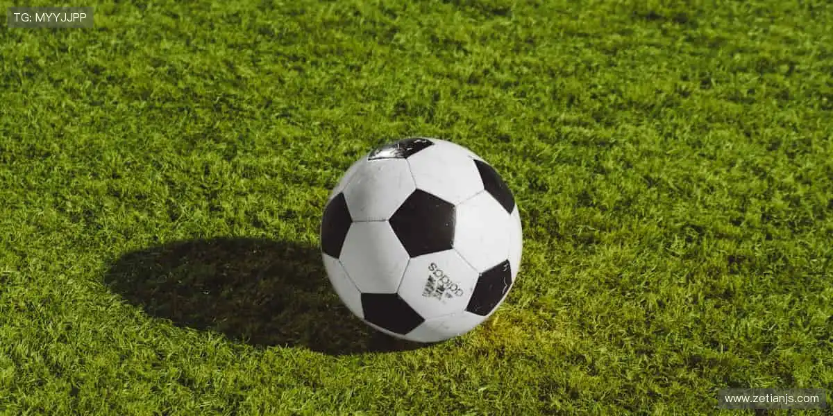 🏋️ 专业品质,助力每一次突破!💪